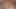 VRB Trans Tattooed latina Tgirl Cassia Fernandez experimental treatment VR Porn