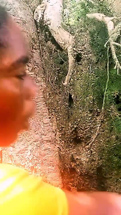Thrilling moment from "Highly feeling in the Bush"