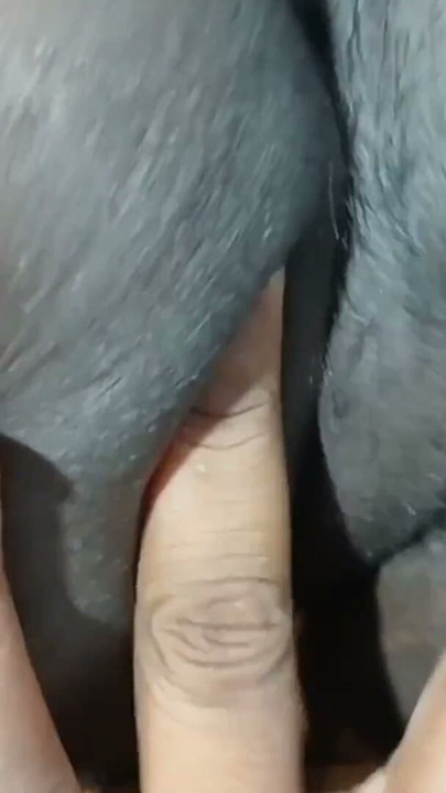 Indian Stepmom Caught Stepson Jerking Off And Helped Him To Cum Quickly By Grinding And Rubbing Hot Tamil clear audio | Clip 1