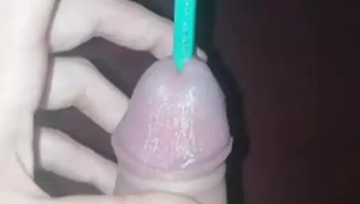 penis içinde kalem