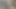 Big Cock Hard Erection Cum on Black Panties Fan Girl sperm