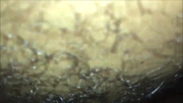 Fucking a thick milf until she squirts
