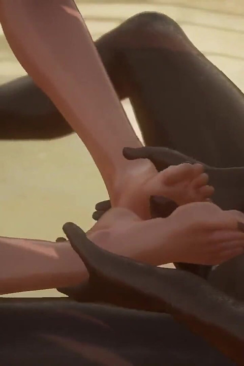 Wild Life Animation Collection