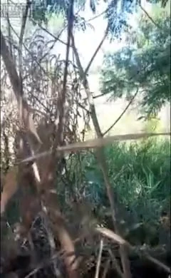 Ateşli güneşle, daha zevkli ve kaygısız hissediyorum ve sonunda senin için harika orgazmlar yaşıyorum