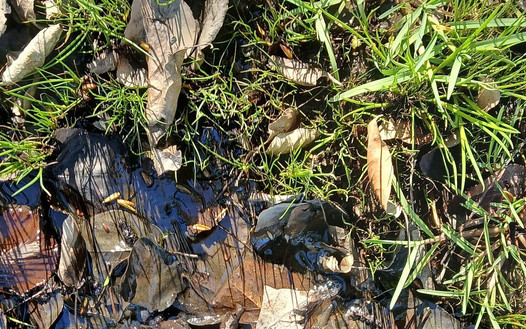 Mud Fun in Rubber Camo Wellies