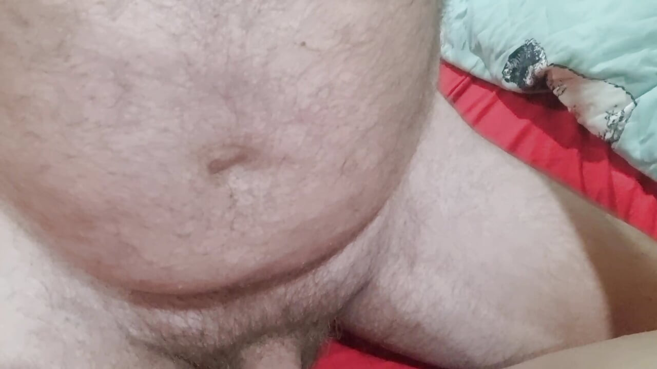 Bunny-pies 4
