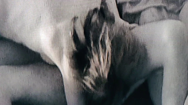 Blowjob and dick sitting (part 1)