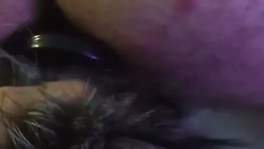 Foxtail closeup