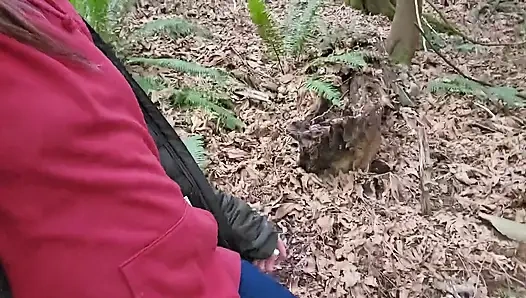 Indoor Pee, Outdoor Pee