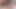Gay Porn ( New Venyveras )