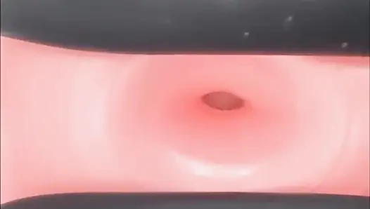 Exercise donut ball pumped
