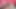 Shyla's Xmas Creampie