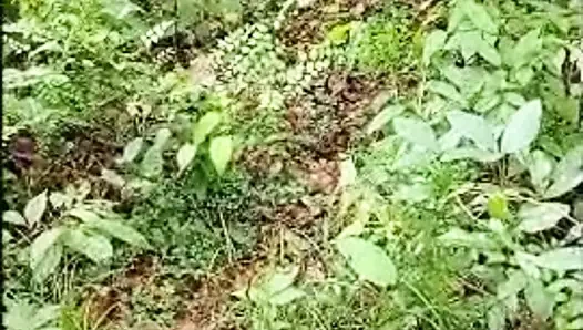 Istriku ngentot di hutan