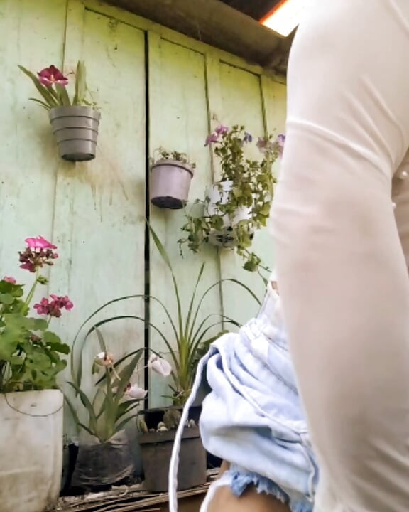 Live Show November 11