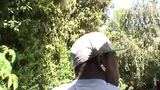 Rubah Memakan Semuanya (Bagian 2)