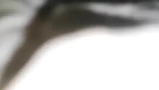 Kanda baru dengan saudara tiri sange