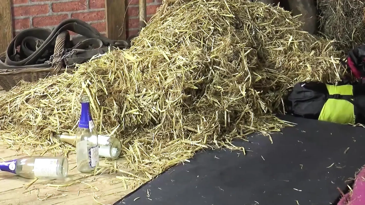 Black and White Asian Fuck Together