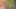 NAKED Walking in forest