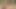 Ass Fucking My Stepmom While On The Phone With Her Stepsis