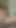 Pawg Alexis Crystal çalısına dölleniyor ve boşalıyor - ahlaksız yapımlar 4k