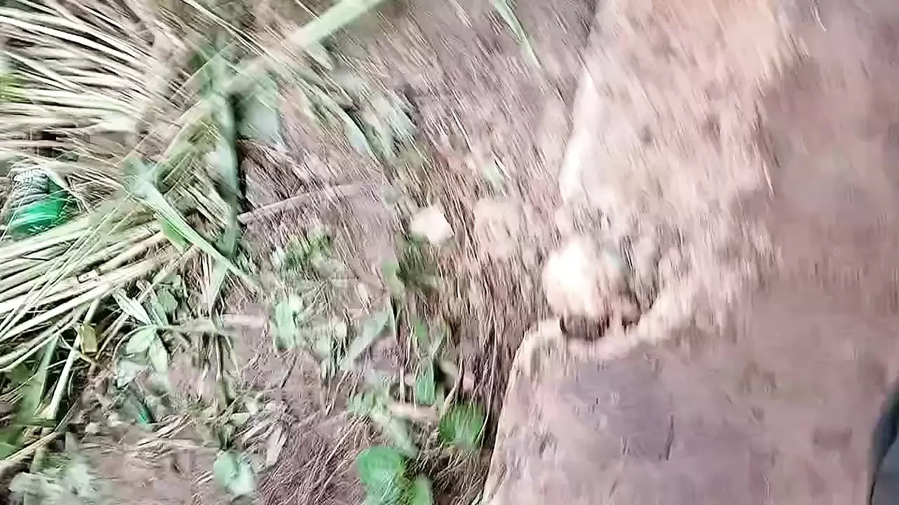 Me follo a un extraño que conocí en las redes sociales, vio mi tamaño de polla, se enamoró de ella, así que vino a visitarme