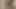 Chubby White Lady Boy Big Butt Shemale Big Ass Sissy Booty Slut