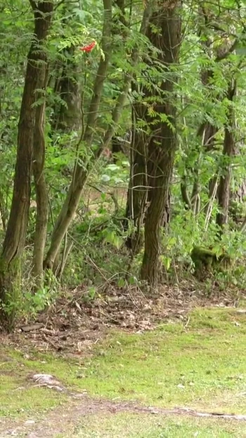 Iconic moment from "GERMAN TEEN IN REAL OUTDOOR FAN FUCK WITH TWO BIG DICK USER"