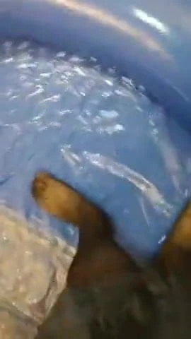 Sexy Gay Cock 47