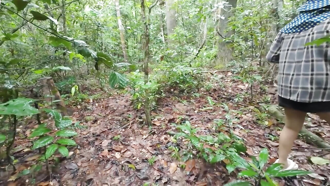 Garotas tailandesas caminhando, conversando e colhendo cogumelos na floresta, aparecendo secretamente na floresta densa Voz tailandesa clara