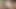 Fantasy Blowjob from Step Mother and Daughter