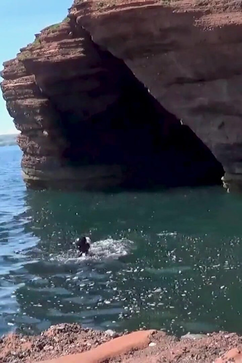 Freediving fetiș fantezie Fins, Gasps și controlul subacvatic