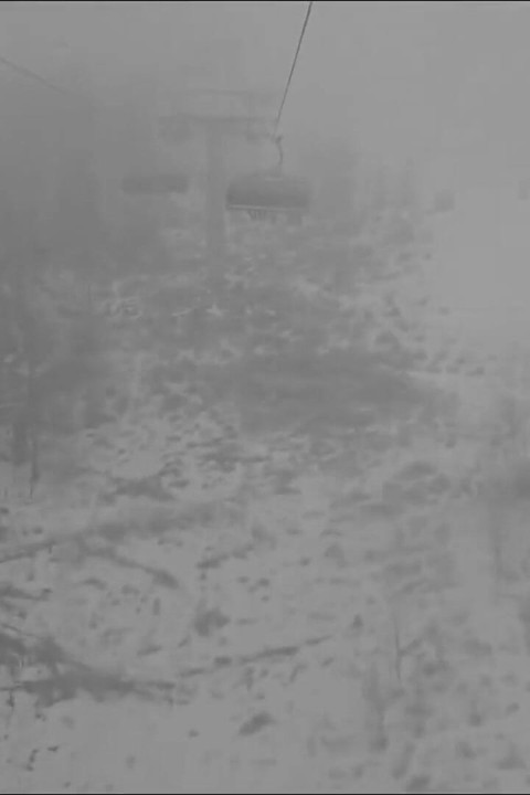 빠르게 변하는 스키의 날