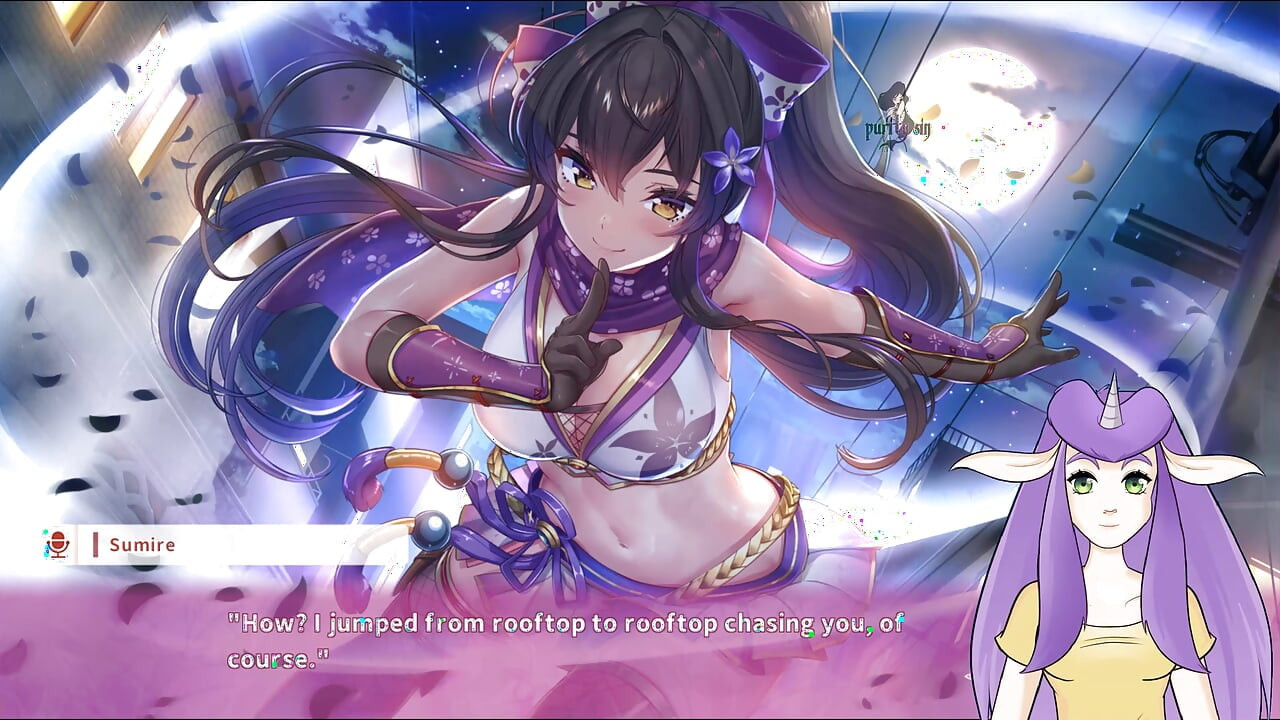 NinNin Days 無検閲ガイド パート1