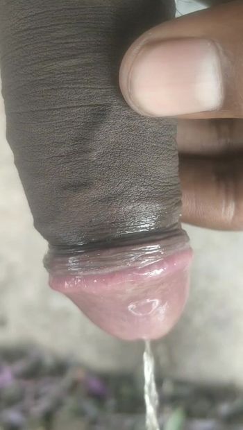 Indian cock with pink Head