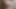 Lila spor salonunda şaplak attı