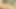 I just playing with my big dick and suddenly caught my girlfriend and the she start fucking