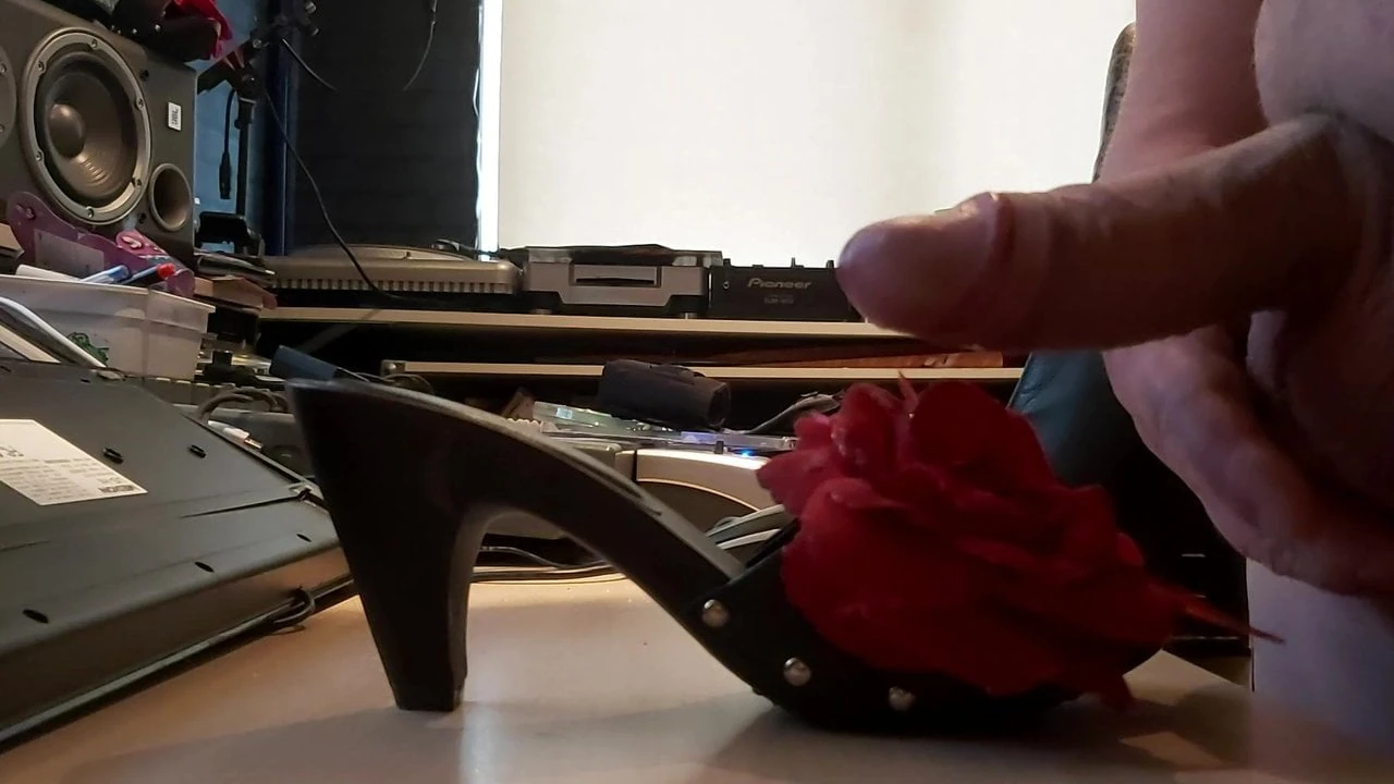 Afternoon Jerking on my Wifes Favorite Mules