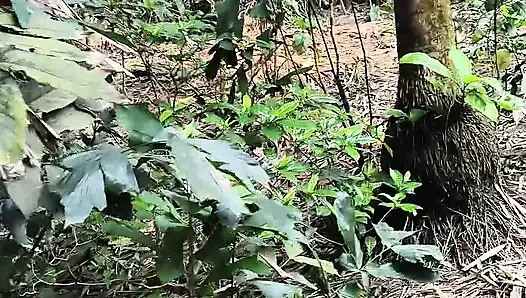 Silent beauty of my garden