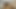 Boy Straps Milk to His Stepsister with Wet Pussy - Porn in Spanish
