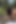 バイブレーションとトゥワークを伴うバイクセックス