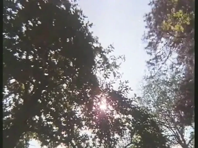 HD VIDEO 106