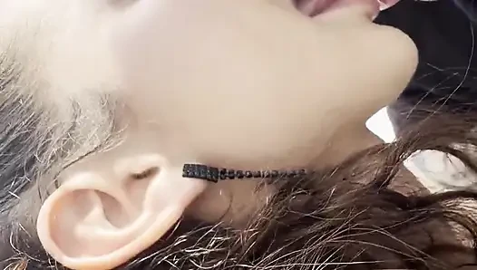 V гейшакид