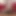 Seksi amatör Fransız zenci kaltak yumrukla sikiliyor ve oyuncu seçmeleri için sert anal sikiliyor