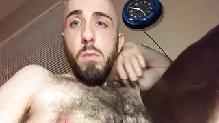 Blue-eyed bald white guy gives a quick and quiet tour of my very hairy torso