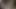 homemade porn video