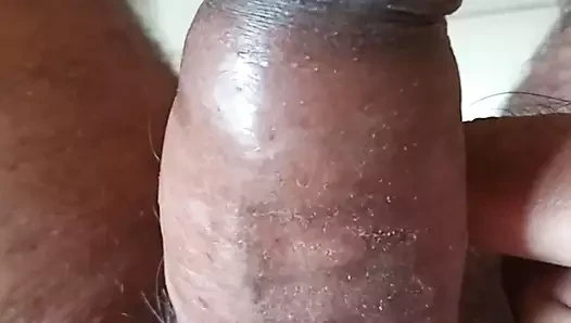 penis