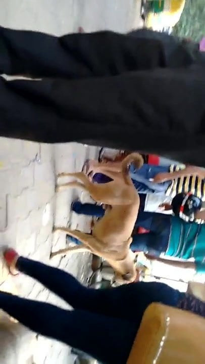 big ass