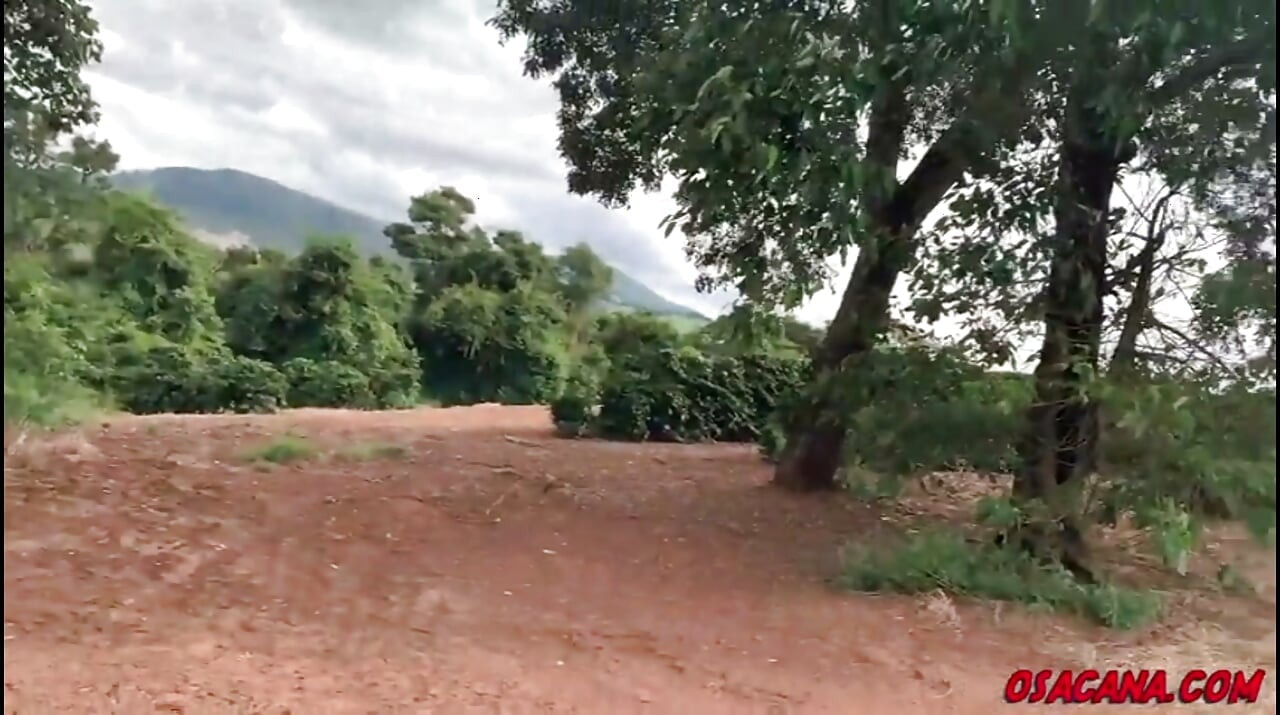 Hermosa jovencita con rastas folla dentro de la plantación de café