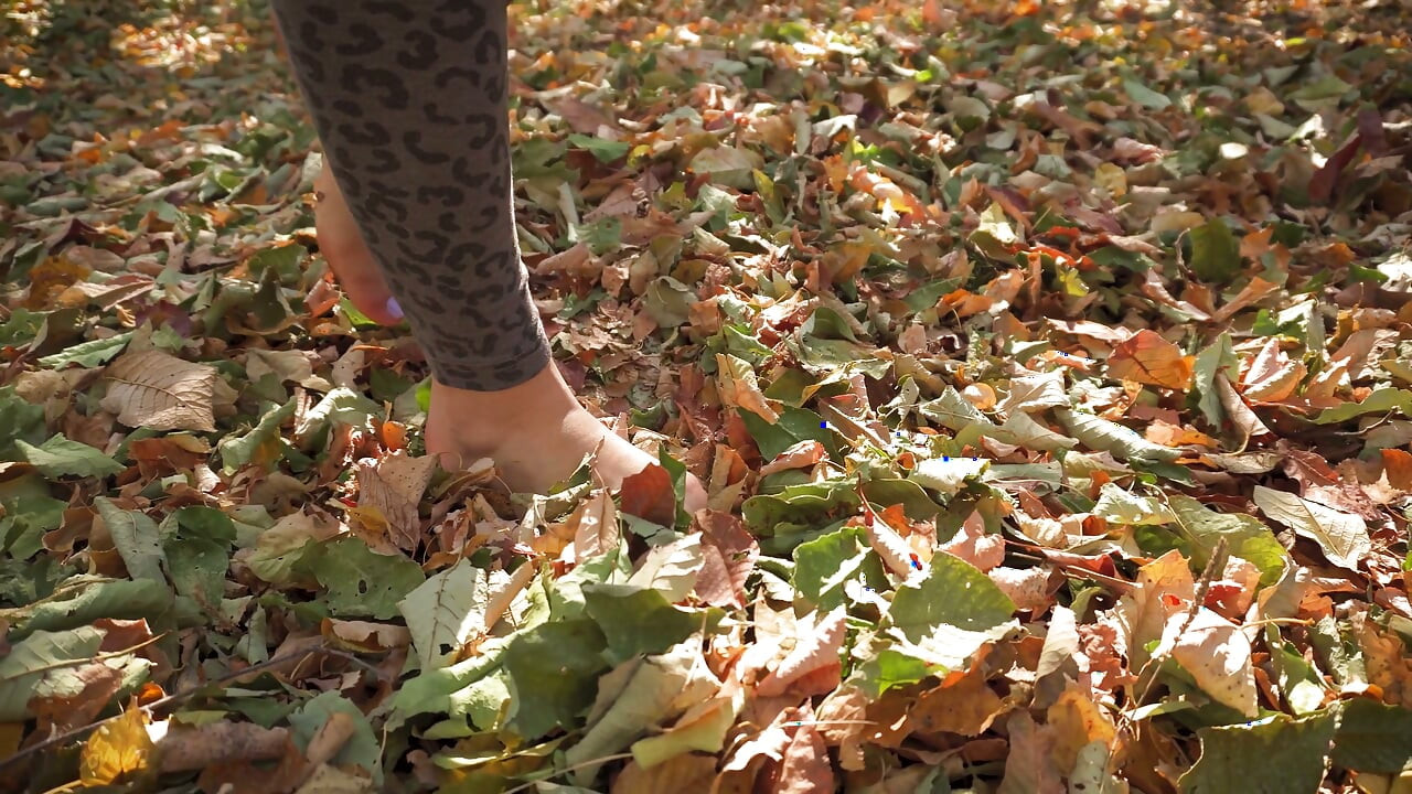 Leaves Crunching Underfoot Asmr