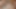 Asian teen masturbating with a huge black dildo
